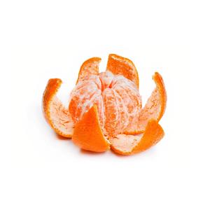 骚宝老中医spa养生馆是剧本吗
