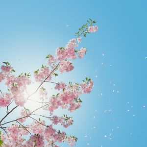 XXX中国18🍅🍆🍆🍆
