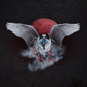 XXX中国18🍅🍆🍆🍆
