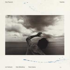 午夜福利09不卡片在线机视频
